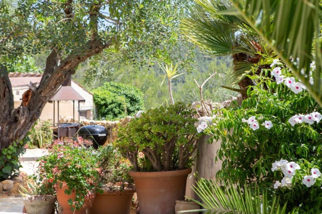Sitges Hill Retreats-Masia Nur 22 Bedrooms Divided Over 9 Houses For Max 44 Guests Canyelles  Exterior photo